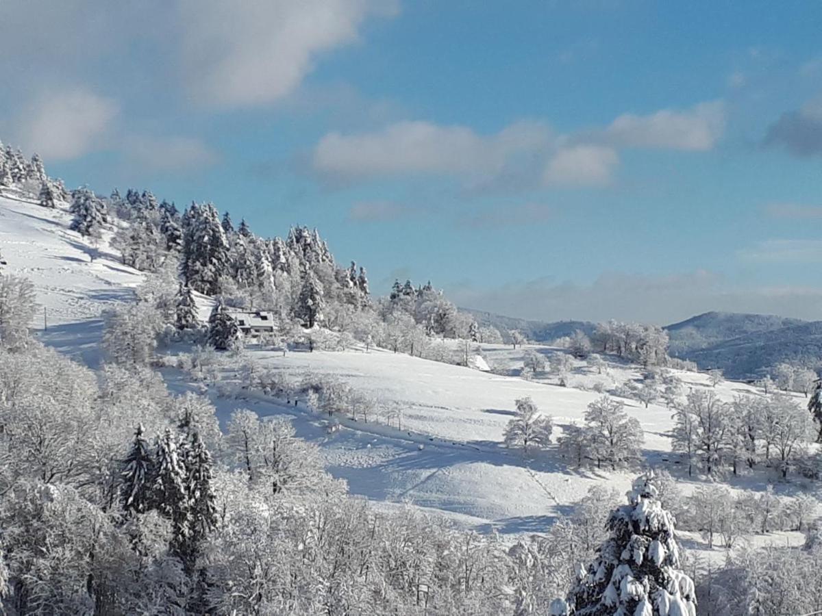 Le Chalet De Cathy Soultzeren Esterno foto